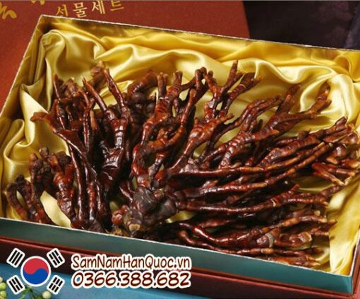 Nấm linh chi sừng hươu Hàn Quốc hộp 500g
