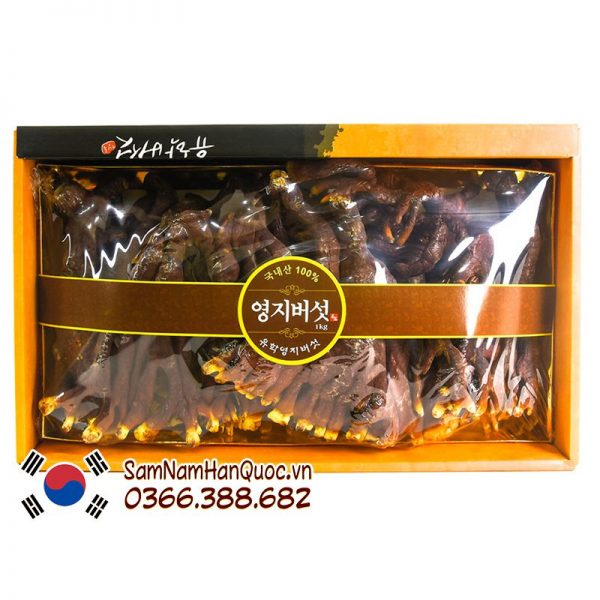 Nấm linh chi sừng hươu Hàn Quốc hộp 500g cao cấp chính hãng