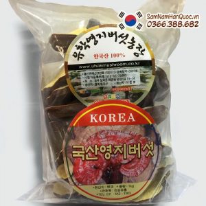 Nấm linh chi vàng Hàn Quốc Uhak loại 1 cao cấp chính hãng
