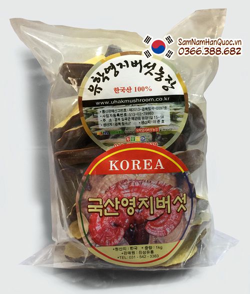 Nấm linh chi vàng Hàn Quốc Uhak giá rẻ chính hãng