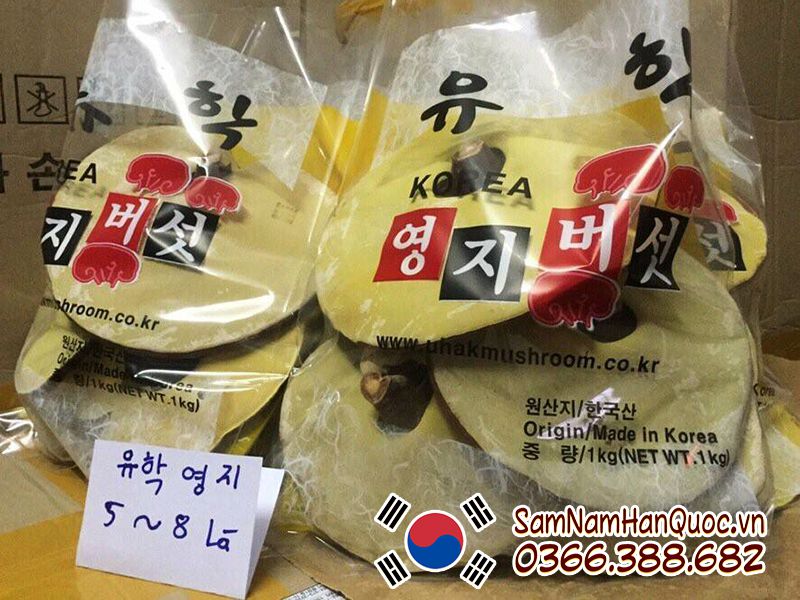 Túi nấm linh chi vàng Hàn Quốc 1kg