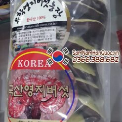 Nấm linh chi vàng Hàn Quốc Uhak loại 1