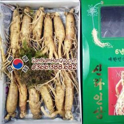 Nhân sâm tươi Hàn Quốc 11 12 củ 1kg 6 năm tuổi giá rẻ