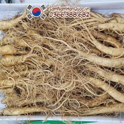 Sâm hầm gà 1kg - Nhân sâm tươi Hàn Quốc làm nguyên liệu hầm gà