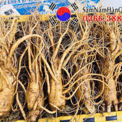 Sâm tươi Hàn Quốc 6 củ 1kg