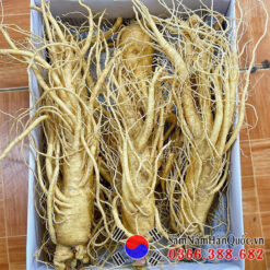 Sâm tươi Hàn Quốc 3 củ 0.5kg