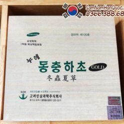 Đông trùng hạ thảo Ginseng Bio 60 gói 30ml