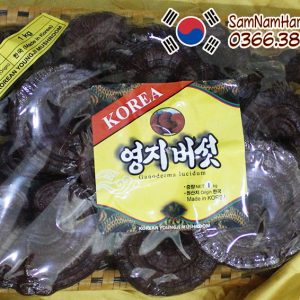 Nấm linh chi đỏ đóng khay Hàn Quốc chính hãng giá rẻ