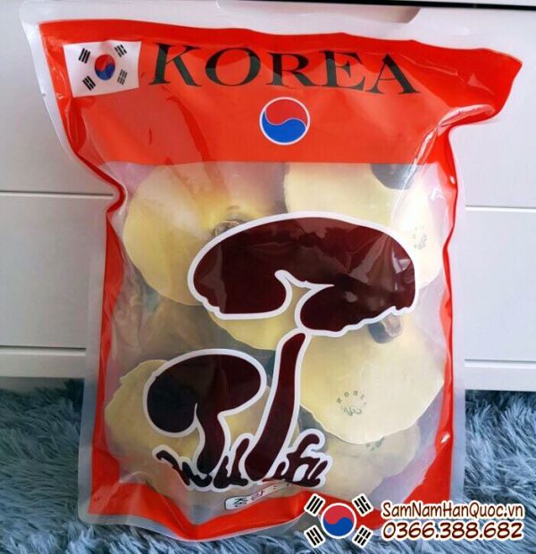 Nấm linh chi đỏ Hàn Quốc 2 cây nấm cao cấp chính hãng
