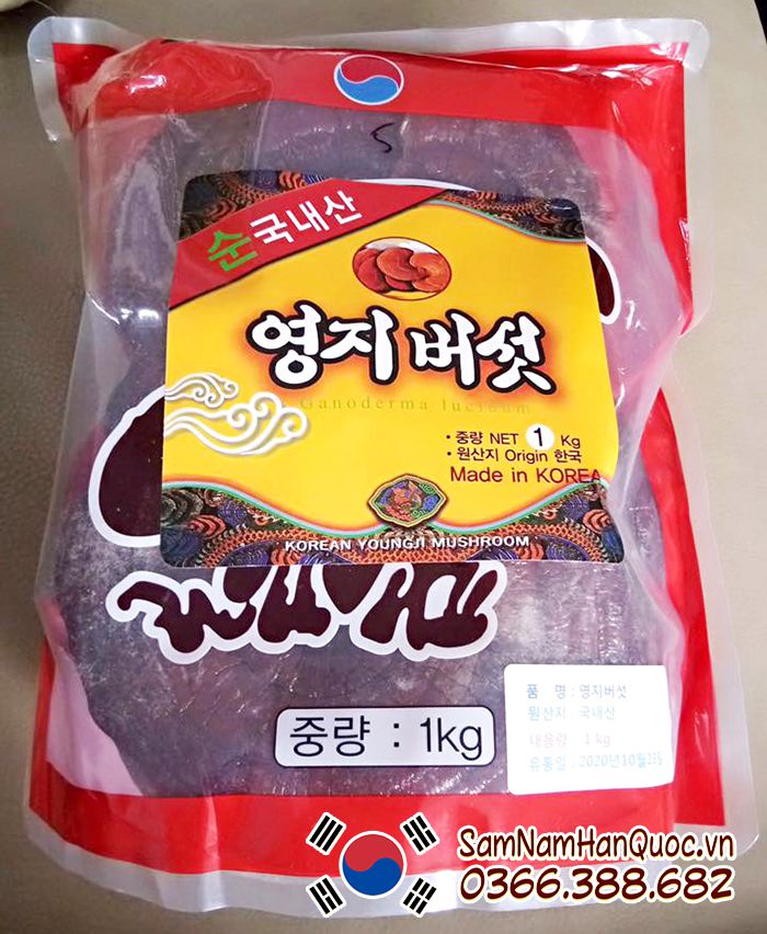 Nấm linh chi đỏ Hàn Quốc 2 cây nấm cao cấp chính hãng chất lượng