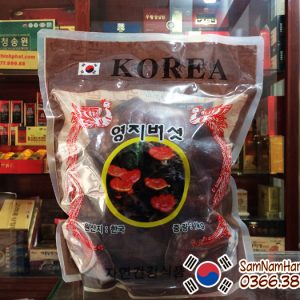Nấm linh chi núi đá đỏ Hàn Quốc hàng hiếm chính hãng