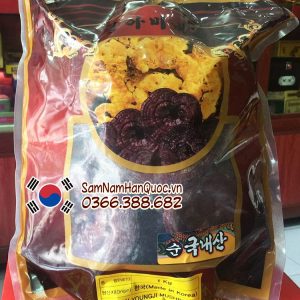 Nấm linh chi núi đá đỏ Hàn Quốc hàng hiếm chính hãng