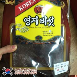 Nấm linh chi đỏ túi nâu Hàn Quốc mát gan, thanh lọc cơ thể