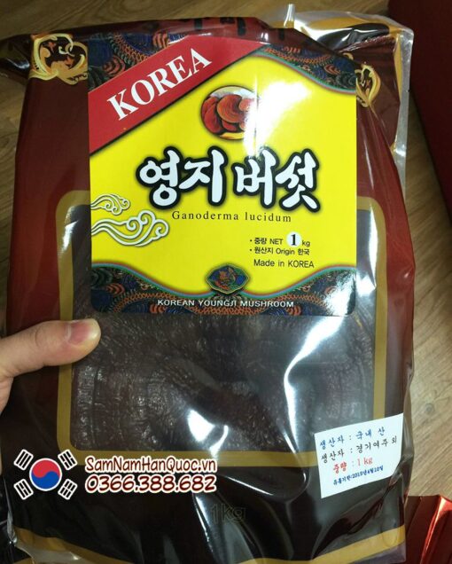 Nấm linh chi đỏ túi nâu Hàn Quốc mát gan, thanh lọc cơ thể