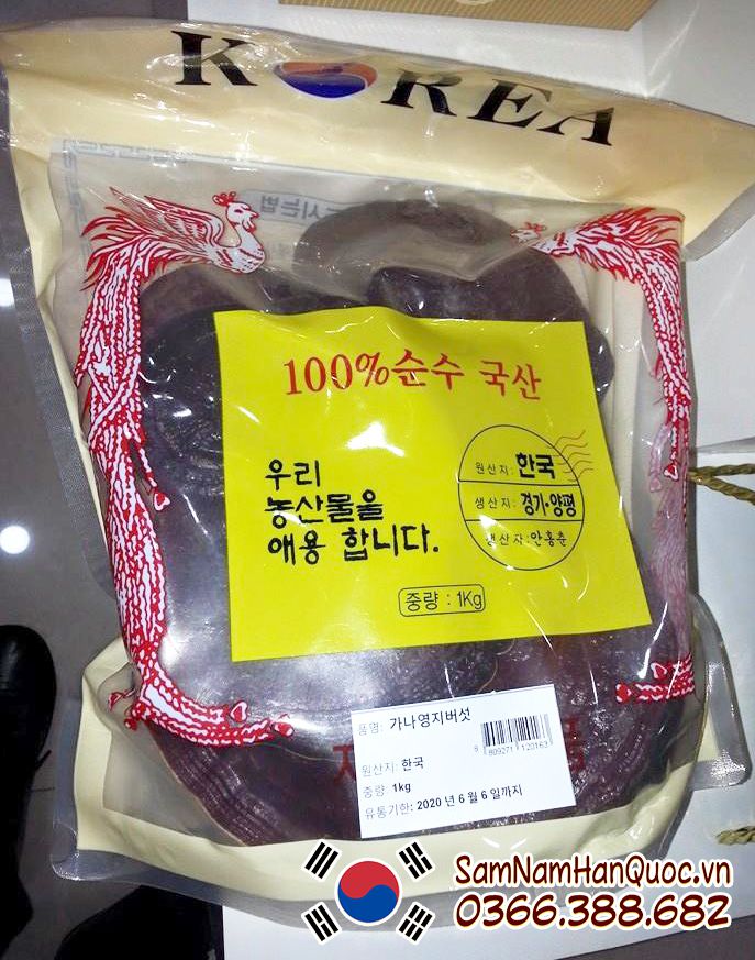 Nấm linh chi đỏ Hàn Quốc túi trắng