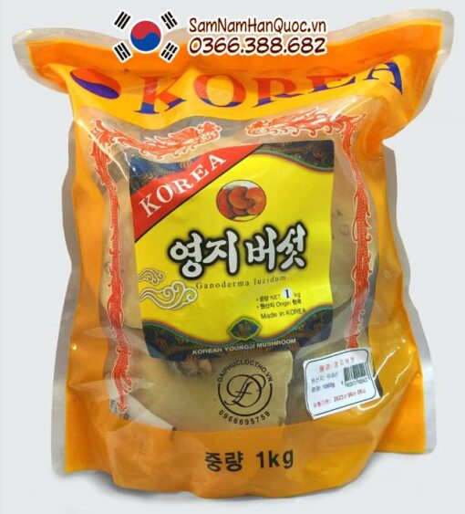 Nấm linh chi đỏ Hàn Quốc túi vàng điều hòa ổn định huyết áp