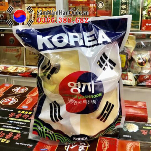 Nấm linh chi đỏ túi lá cờ Hàn Quốc