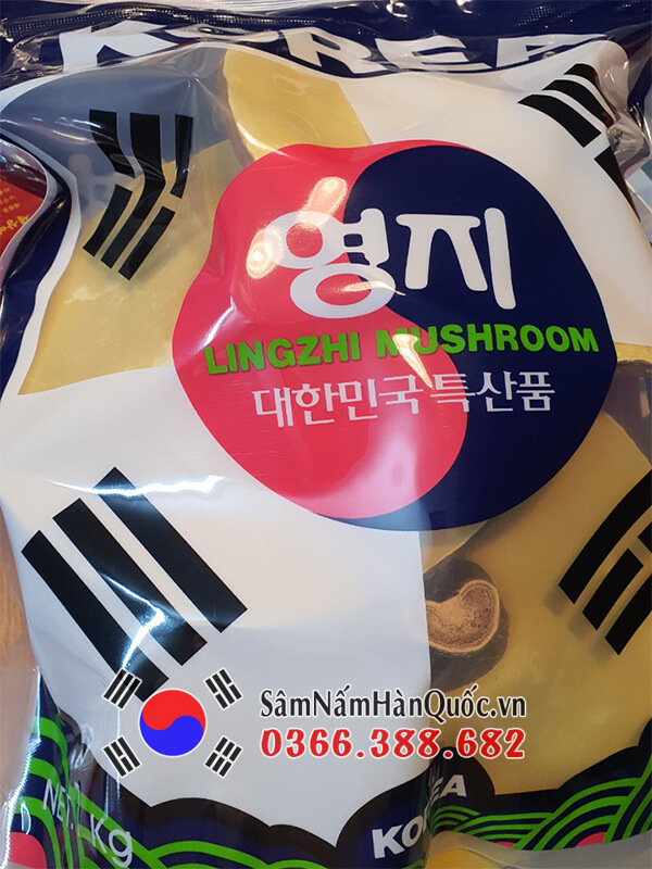 Công dụng Nấm linh chi đỏ túi lá cờ Hàn Quốc