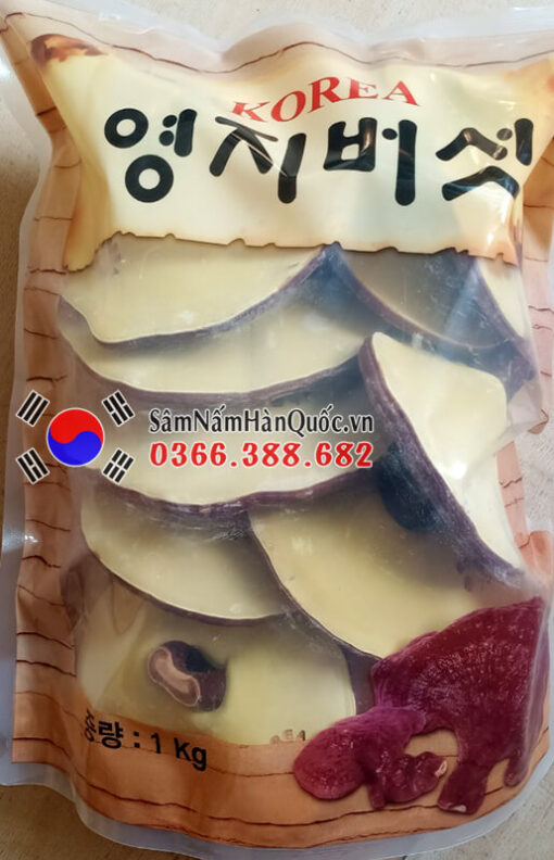 Nấm linh chi đỏ Hàn Quốc túi xếp