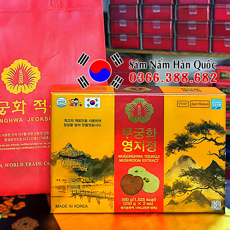Sâm Nấm Hàn Quốc