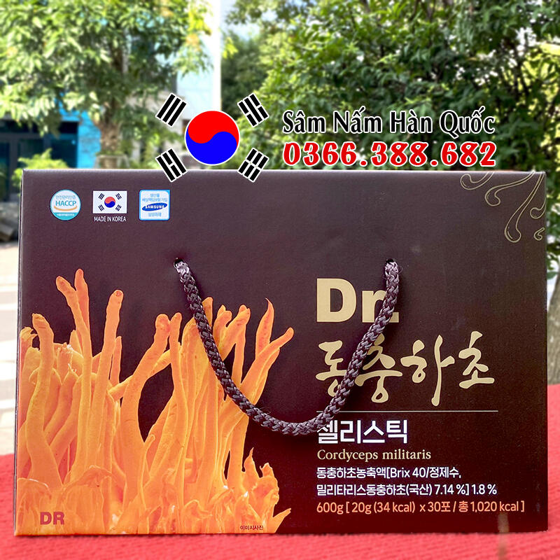 Sâm Nấm Hàn Quốc