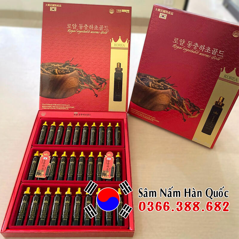 Đông Trùng Hạ Thảo
