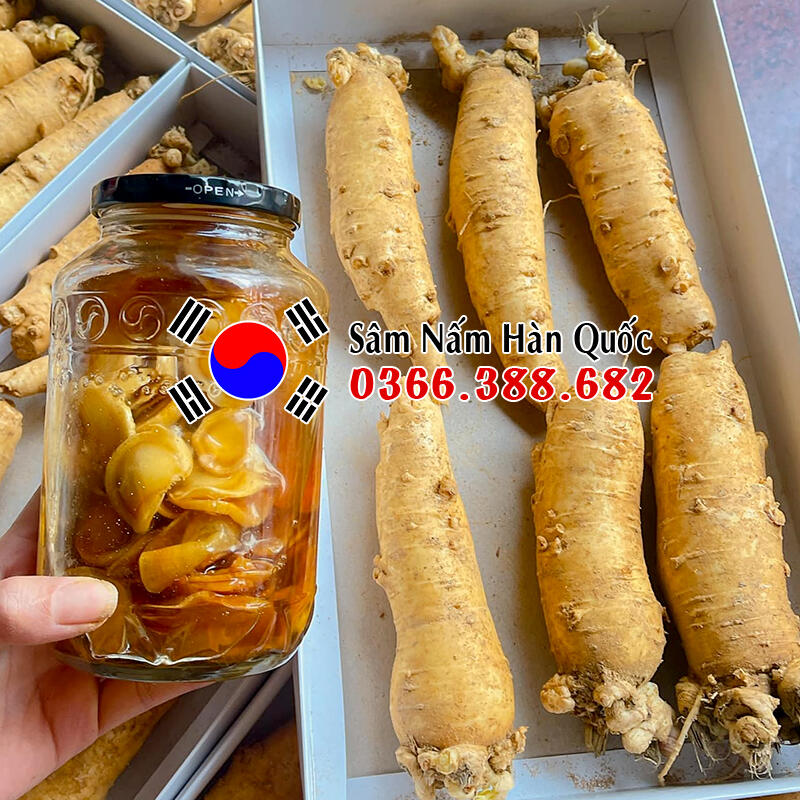 Sâm ngâm Mật Ong có tác dụng gì? Cách ngâm tại nhà 5p