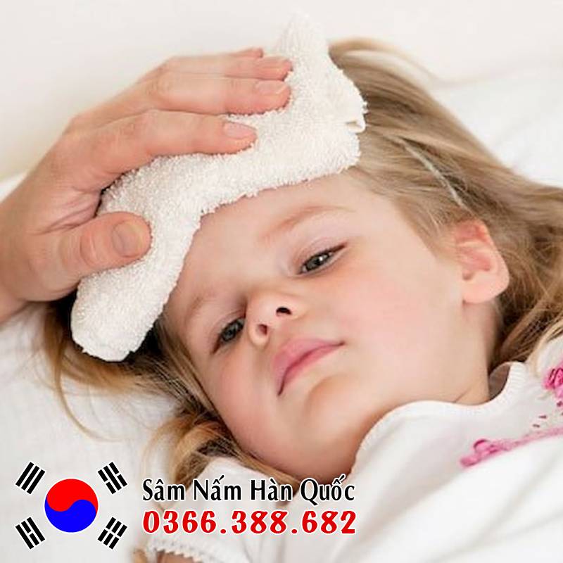 Bị Cảm cúm Ho sốt có Uống được Sâm không? Không nên dùng nhân sâm dưới mọi hình thức khi đang ho sốt