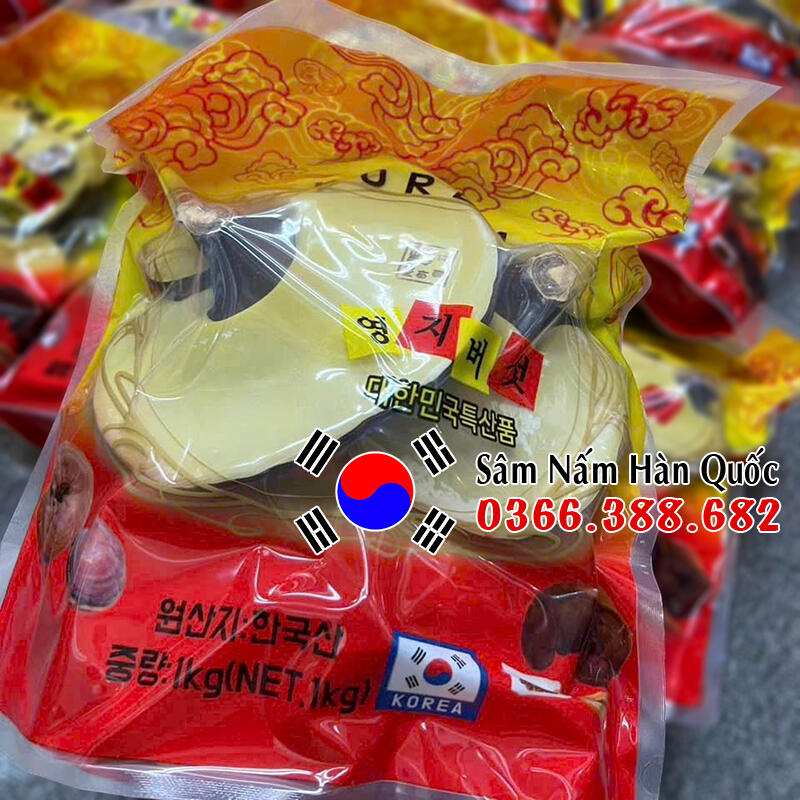Nấm linh chi ChungChang 1kg Nấm linh chi ChungChang 1kg