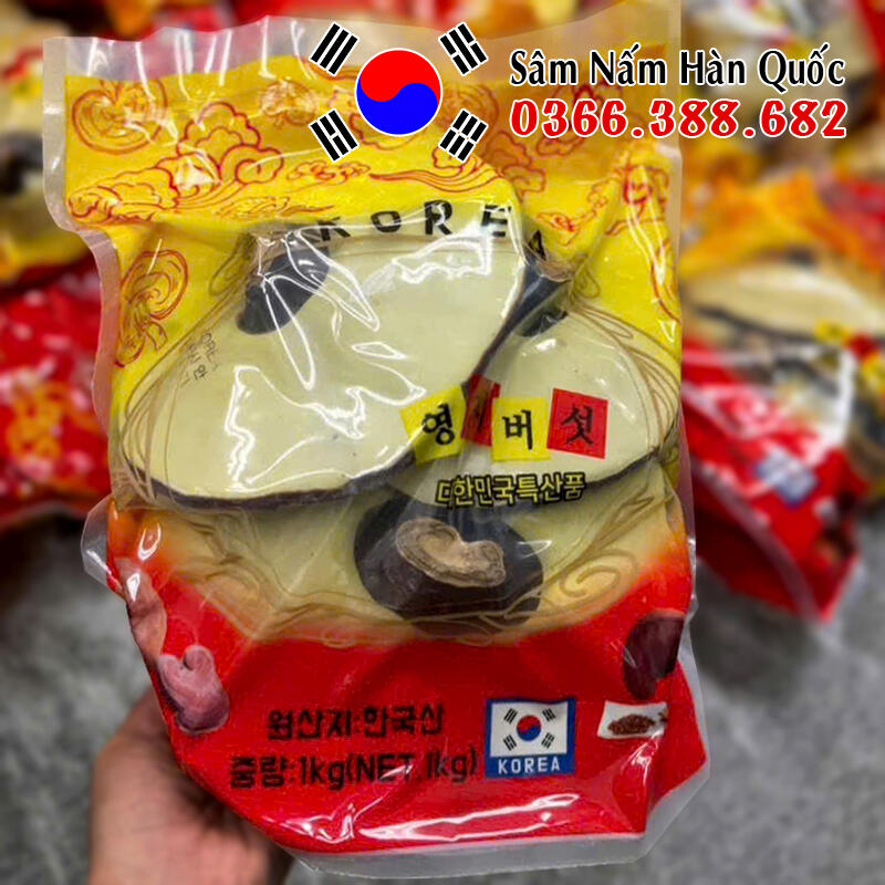 Nấm linh chi ChungChang 1kg Nấm linh chi ChungChang 1kg
