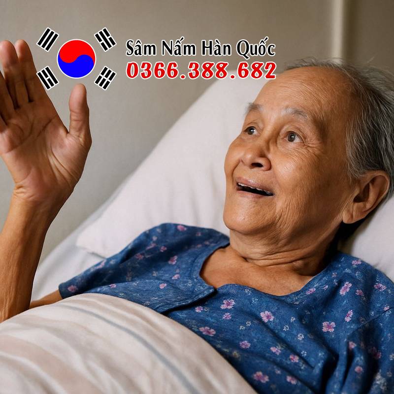 Ảnh hưởng của nhân sâm tới người hấp hối (ảnh AI)