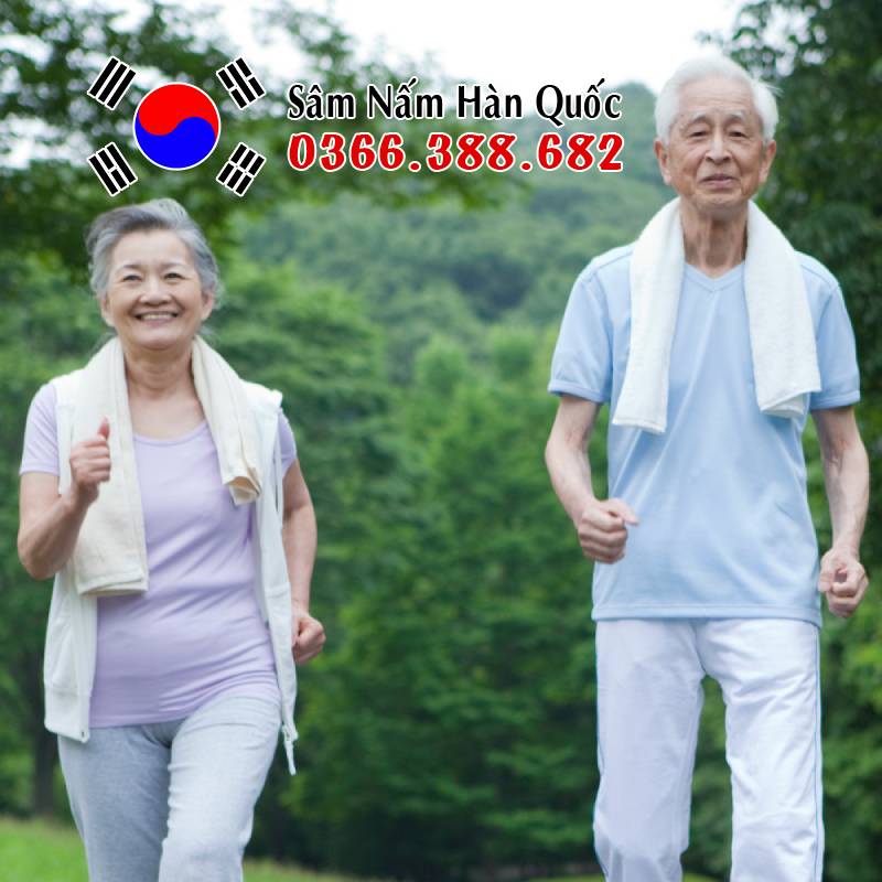 Người cao tuổi uống Sâm có tốt không? Người cao tuổi cần lưu ý khi dùng nhân sâm