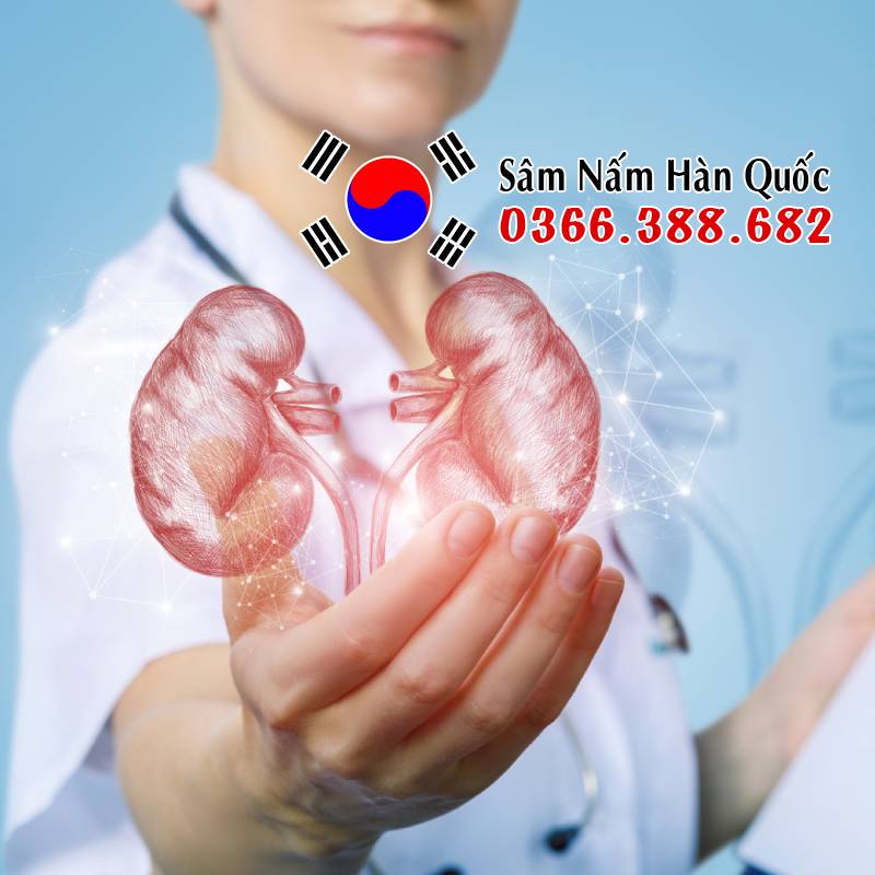 Người bị suy thận có uống sâm được không?