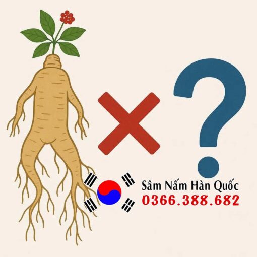 Nhân sâm kỵ gì? 10 thứ rất nguy hiểm khi dùng với sâm