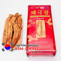 Thiên sâm khô VVIP Dragon King 300g Thiên sâm khô VVIP Dragon King 300g