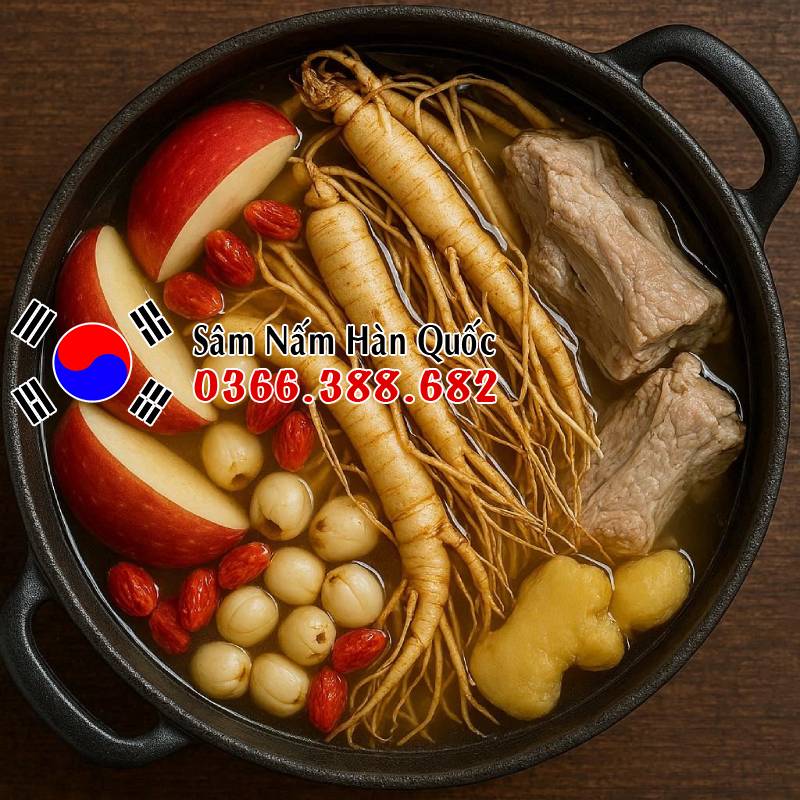 Nguyên liệu nấu canh sâm tươi Hàn Quốc