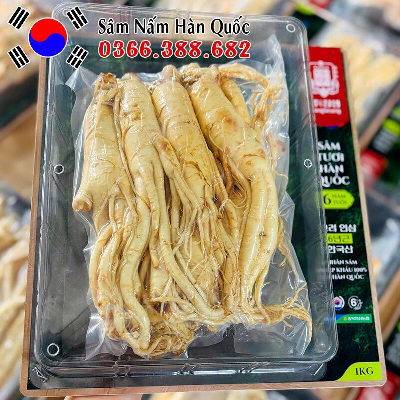 Sâm tươi chính hãng