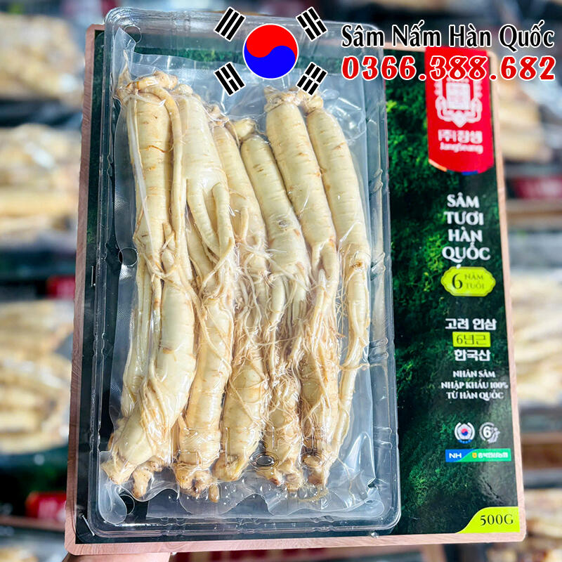 Sâm tươi chính hãng