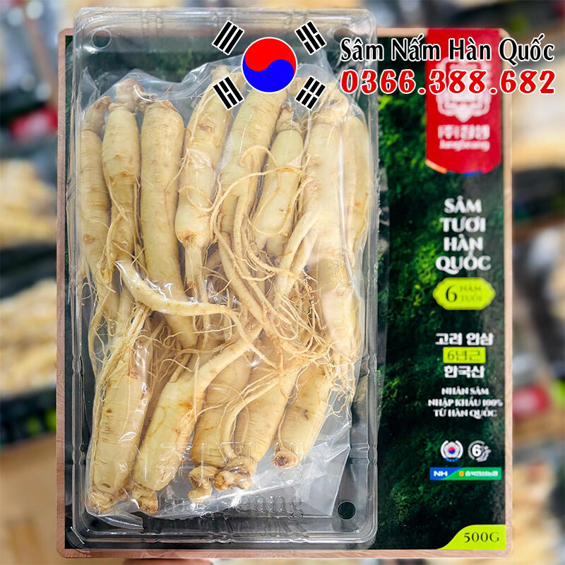 Sâm tươi chính hãng