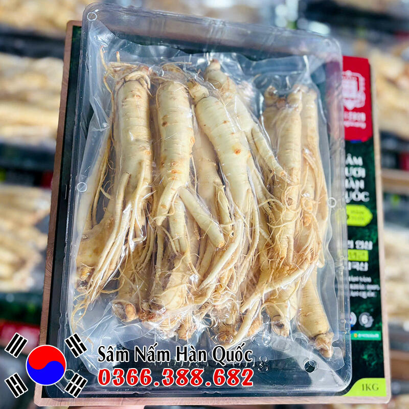 Sâm tươi chính hãng