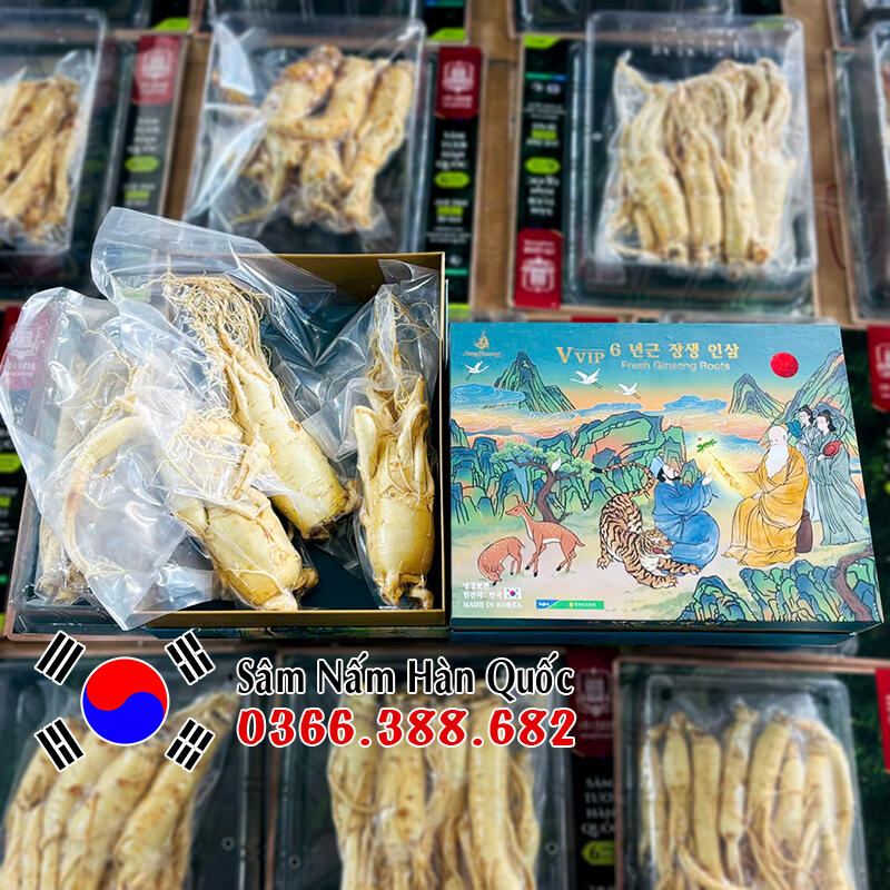Sâm tươi chính hãng