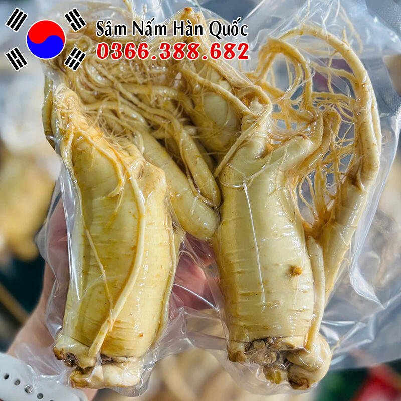 Sâm tươi chính hãng