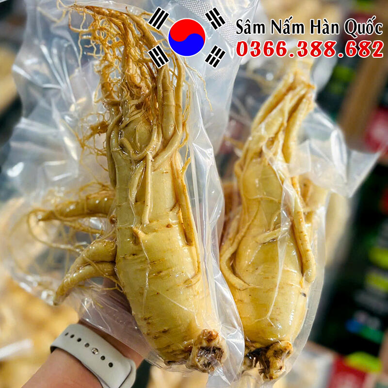 Sâm tươi chính hãng