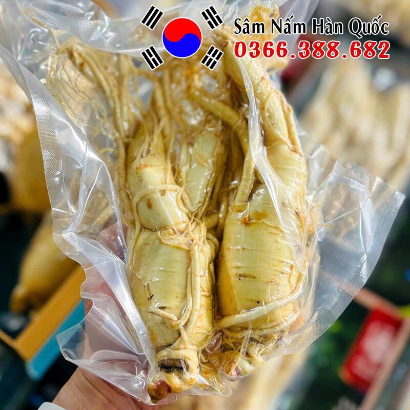 Sâm tươi chính hãng