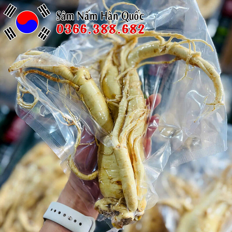 Sâm tươi chính hãng
