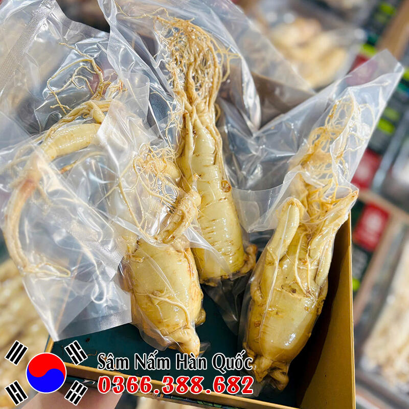 Sâm tươi chính hãng