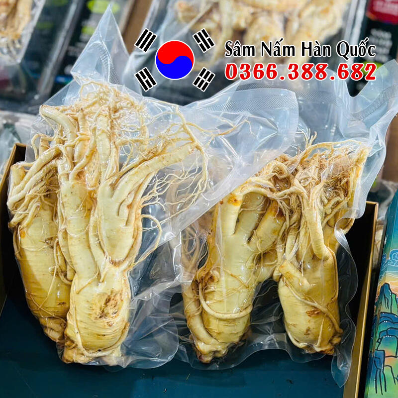 Sâm tươi chính hãng