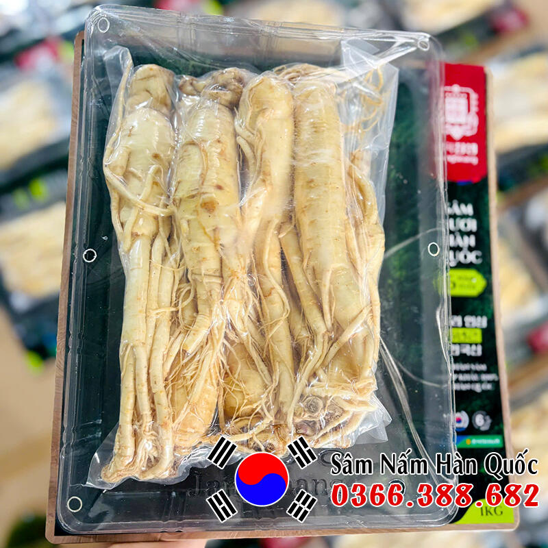 Sâm tươi chính hãng
