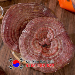 Nấm linh chi đỏ Achimmadang 1kg Nấm linh chi đỏ Achimmadang 1kg