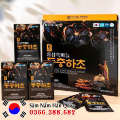 Nước hồng sâm Đông trùng Tỏi đen Premium 30 gói 70ml